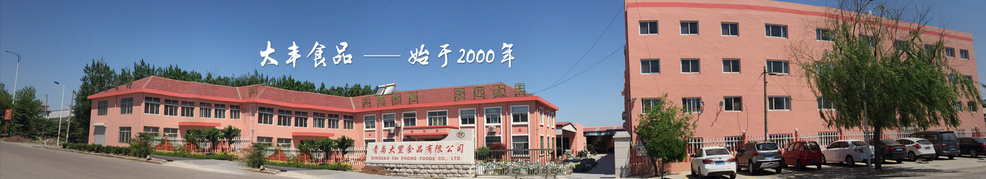 大豐食品，始于2000年